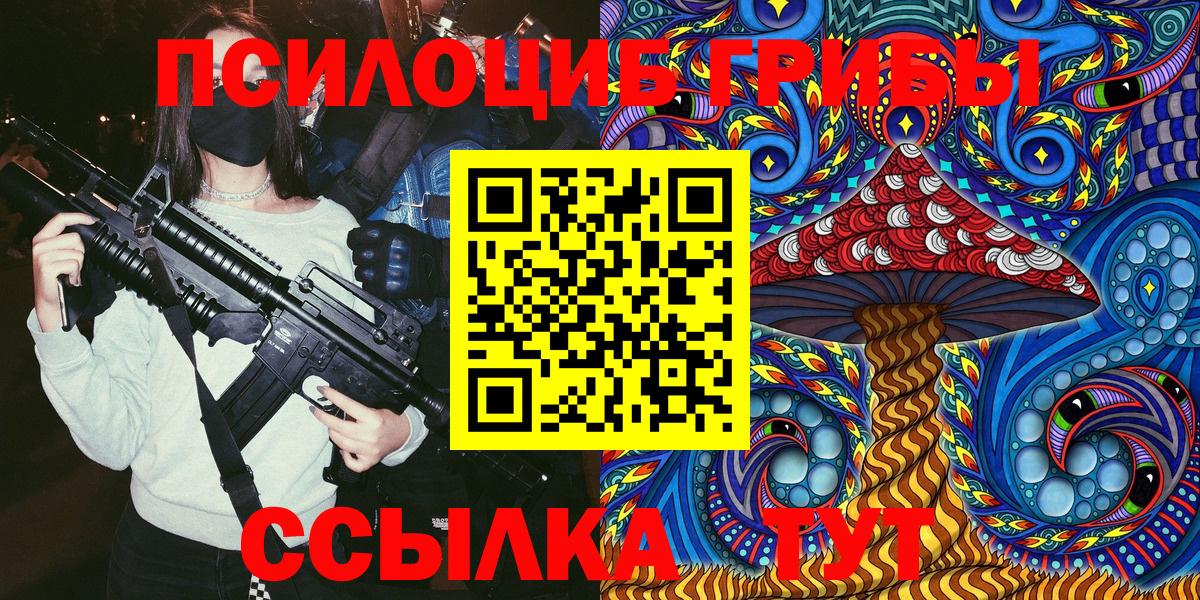 Галлюциногенные грибы Cubensis Сосновый Бор