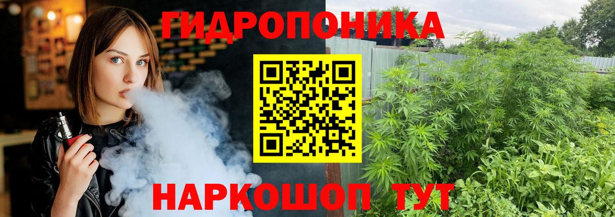 Марихуана Amnesia Сосновый Бор